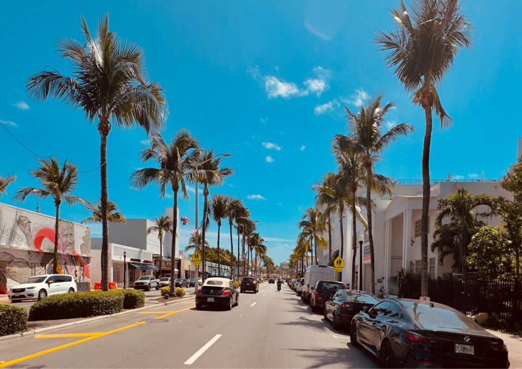 Palm-lined street in Miami, showcasing vibrant urban living, sunny weather, and a welcoming atmosphere for seniors.