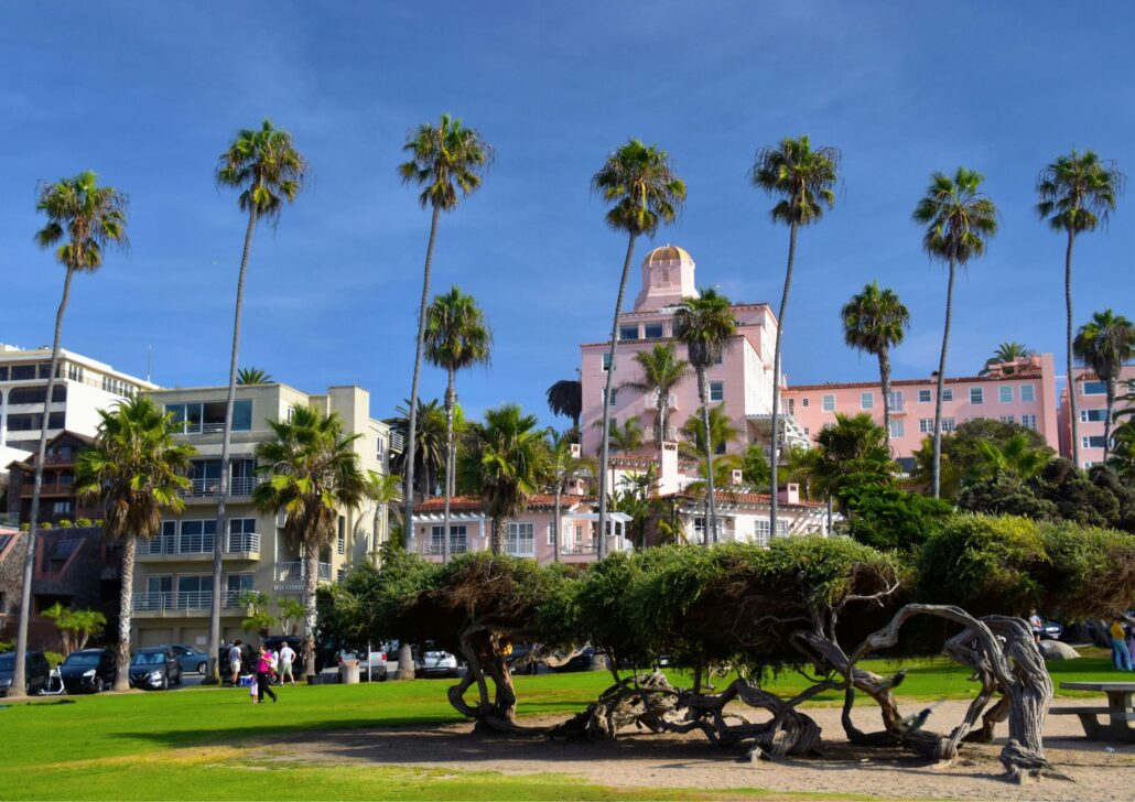 Coastal view of palm trees and colorful buildings in San Diego, highlighting the city's vibrant atmosphere and appeal for seniors seeking quality care and active lifestyles.