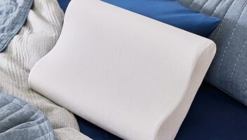 Sleep Innovations Memory Foam Contour Pillow